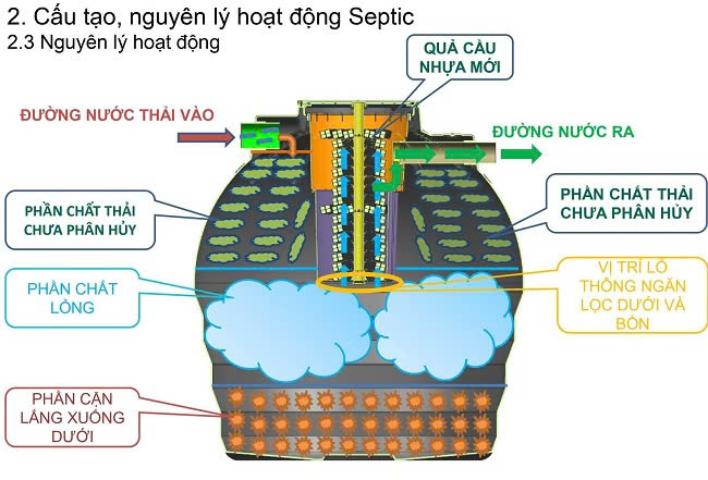 nguyen tac hoạt dong bon tu hoai septic
